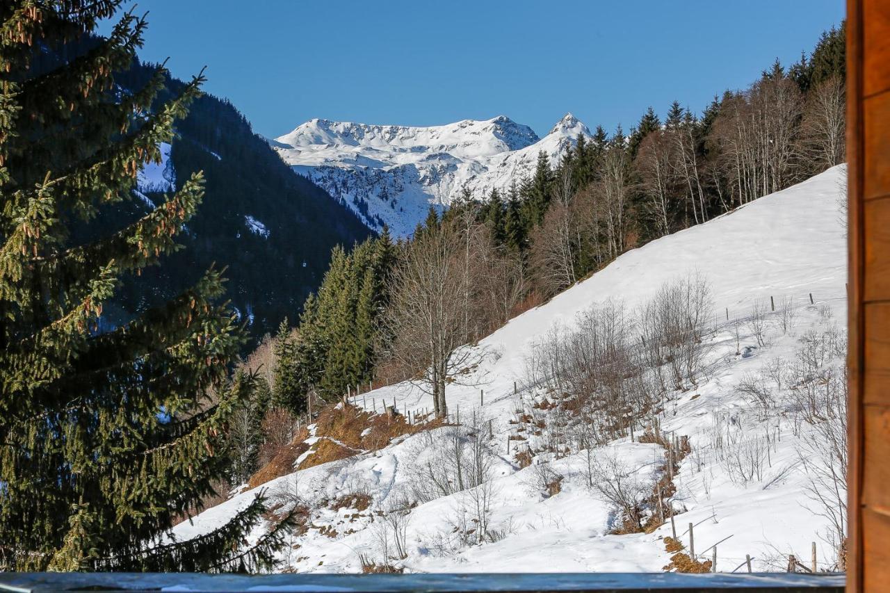 Appartementhaus Tannenberg Saalbach-Hinterglemm Dış mekan fotoğraf